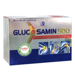 Glucosamin 500