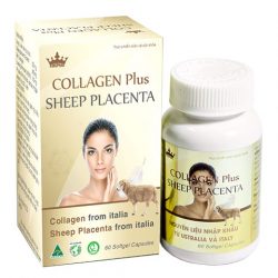 Collagen Plus Sheep Placenta