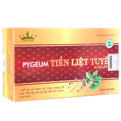 Pygeum Tiền liệt tuyến Kingphar