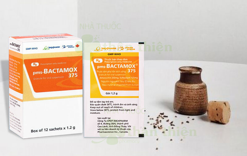 pms-Bactamox 375, điều trị nhiễm khuẩn đường tiết niêu, tai mũi họng