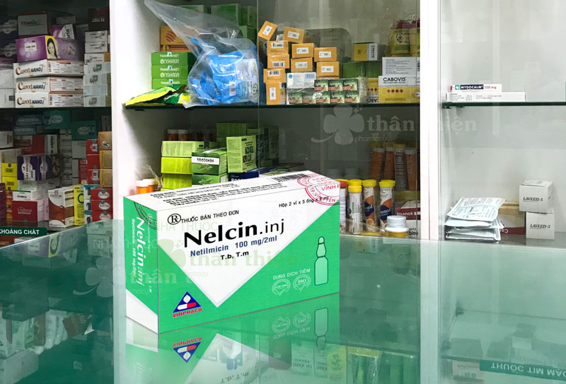 Nelcin 100mg/2ml, điều trị một số bệnh nhiễm khuẩn nặng