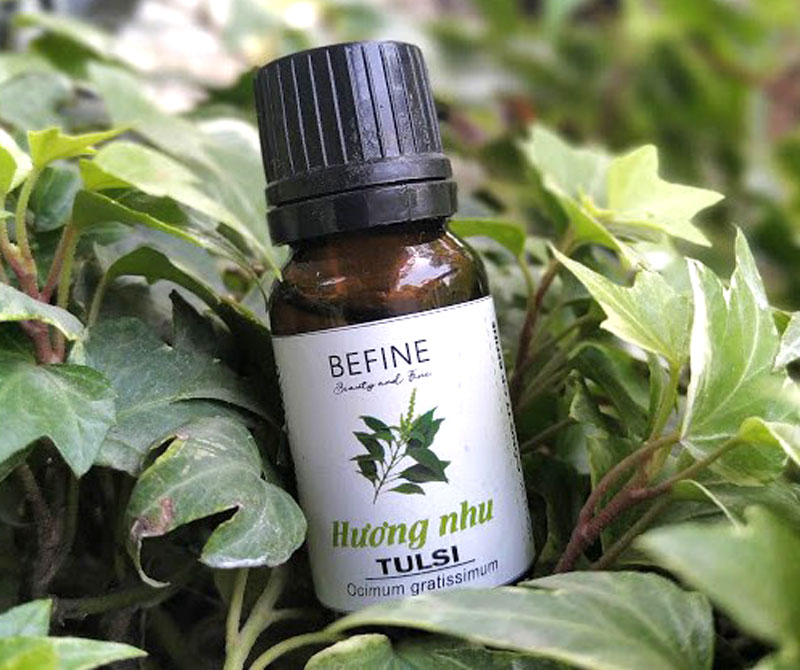 Tinh dầu Hương Nhu Befine, chăm sóc tóc và da đầu, hỗ trợ khử mùi hôi