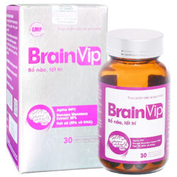 Brain Vip