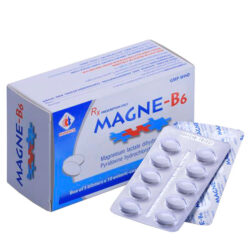 Magne-B6