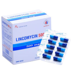 Lincomycin 500mg