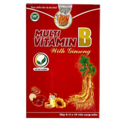 MULTI-VITAMIN-B-WITH-GINSENG