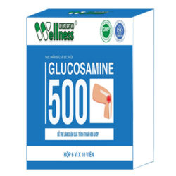 Glucosamine-500