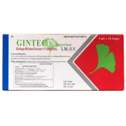 Gintecin injection 17.5mg5ml (2)