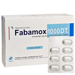 Fabamox 1000 DT
