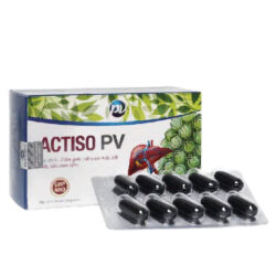 Actiso PV
