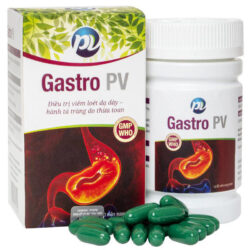 Gastro PV