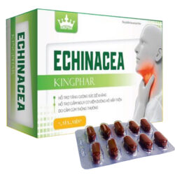 Echinacea Kingphar
