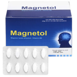  Magnetol
