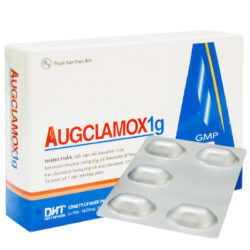 Augclamox 1g
