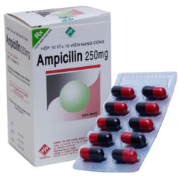 Ampicilin 250mg