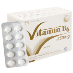 Vitamin B6 Mekophar 250mg