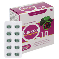Ginkgo Natto Coenzym Q10