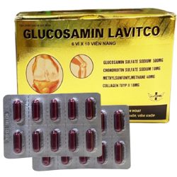 Glucosamin Lavitco