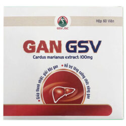 Gan GSV