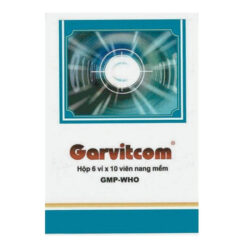 GARVITCOM