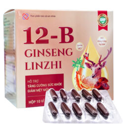 12B Ginseng Linhzhi
